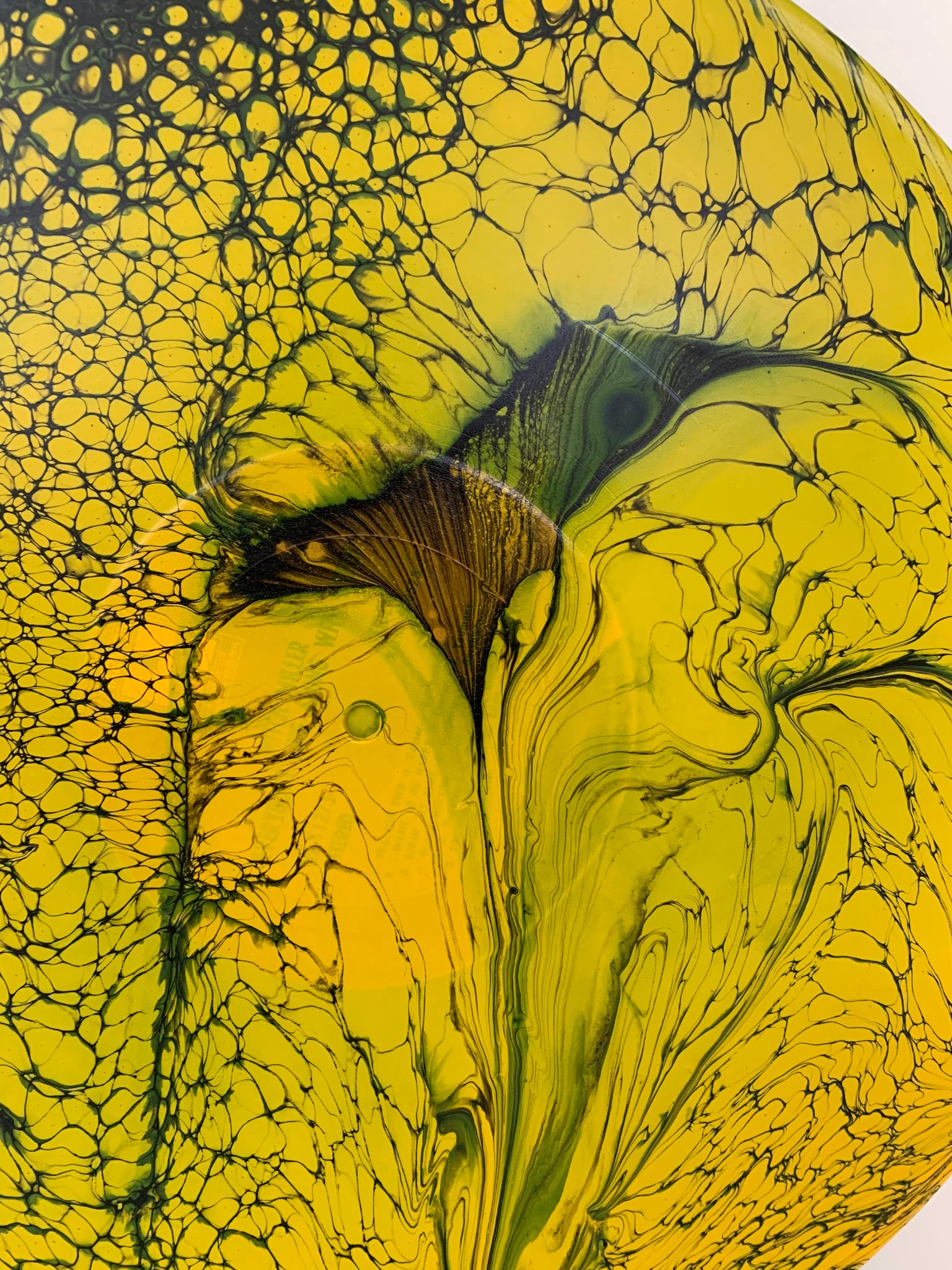 Vinyl Art Painting "Marigold Spider Web" - Ashley Lisl Art